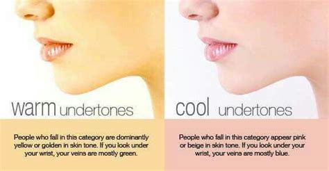 Pin By Ann Chinery On Make Up Skin Skin Tones Cool Undertones Skin