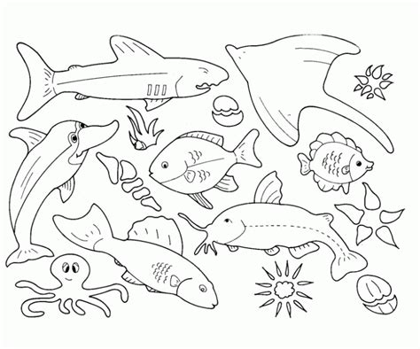 Sea Life Coloring Page Coloring Home