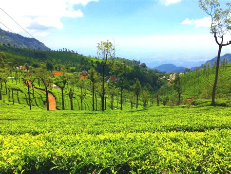 18 Places To Visit In Ooty Updated 2020 The Queen Of