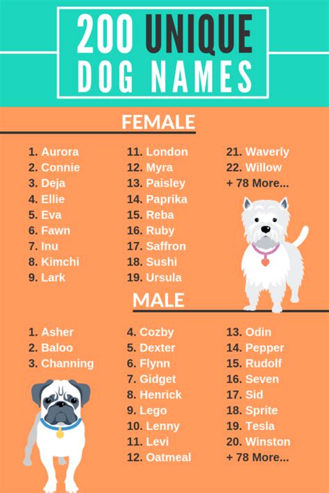 200 Unique Dog Names Male And Female Help Your Dog Stand Out Puppy