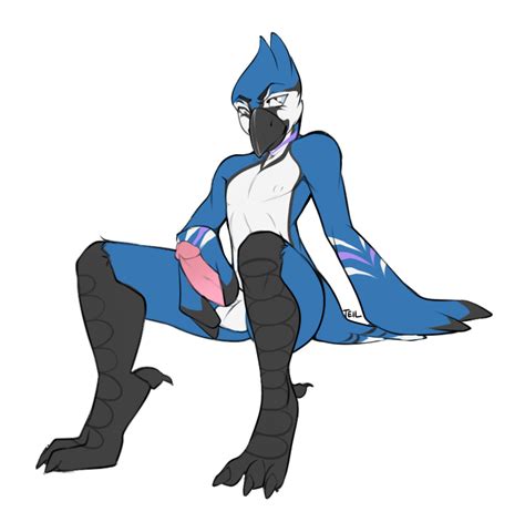 Rule 34 Arcadiusrex Avian Balls Bird Blue Jay Male Penis Solo Teil