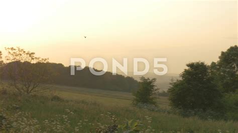 4k Birds Flying Over Countryside At Dusk Sunset Lens Flare Stock
