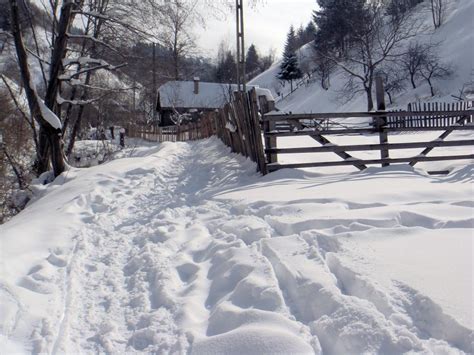 Get Free Stock Photos Of Heavy Snow Fall Over Rural