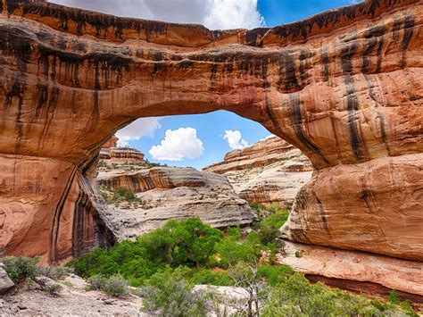 Utah Sipapu Bridge 2020 Bing Desktop Preview