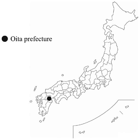 Blank Map Of Japan Outline Map Of Japan With Cities Japan Ryukyu