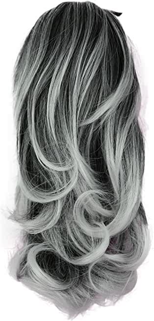 Gray Hair Ponytail