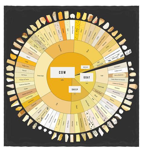 Cheese Wheel Chart For Cheese Lovers Infographic Twistedsifter