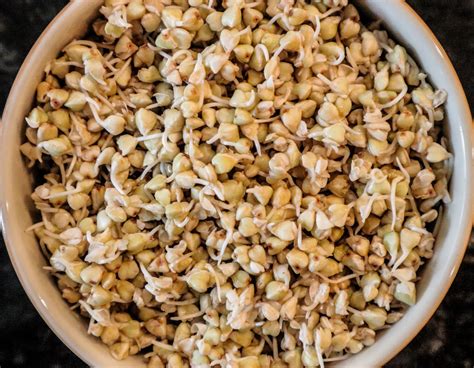 How To Sprout Buckwheat Pure Living Nutrition