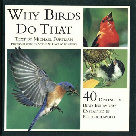Why Birds Do That A Collection Of Curious Avian Exploits By Nature