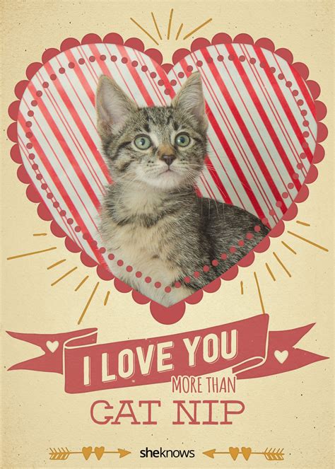 Give One Of These Purr Fect Valentines Day Cards To The One You Love Valentines Day Cat Cat