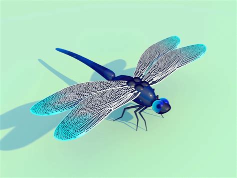 Dragonfly By Stuart Wade Animated   Dragonfly