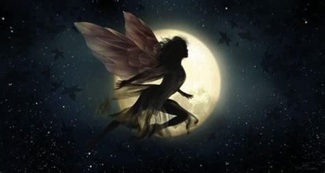 Fairies Images Night Fairy Hd Wallpaper And Background