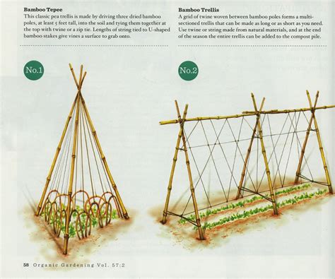 How to build a trellis. Making Your Own Garden Trellis - 365Preppers.com