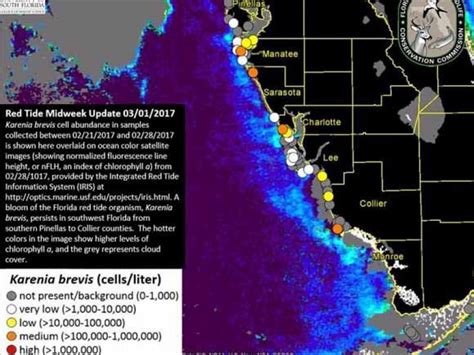Red Tide Map