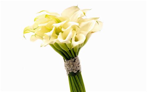 3840x2400 Calla Lilies Flowers Bouquet Uhd 4k 3840x2400 Resolution