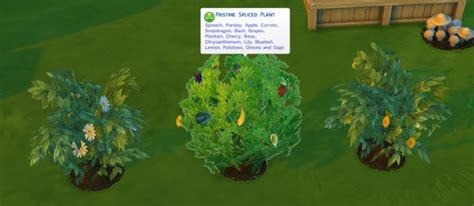 Sims 4 How To Evolve Plants Gostcomputing