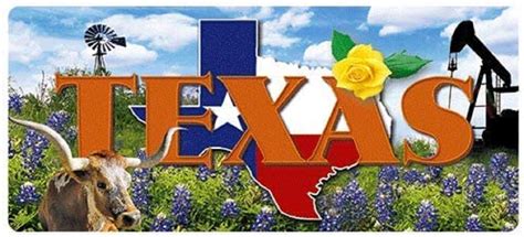 Texas The Lone Star State 3d Fridge Magnet