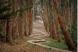 Pictures of Sf Hiking Trails