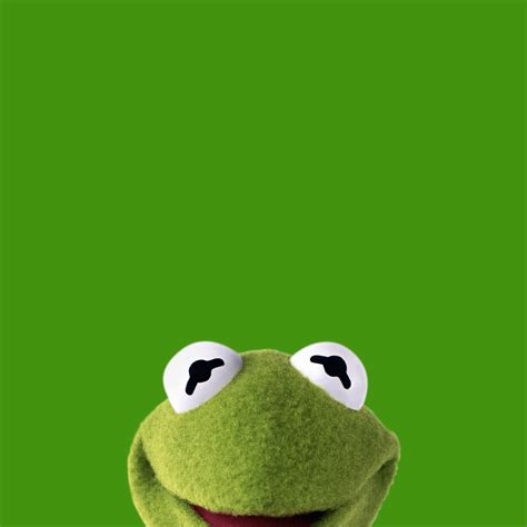 Cute Kermit The Frog Wallpapers On Wallpaperdog