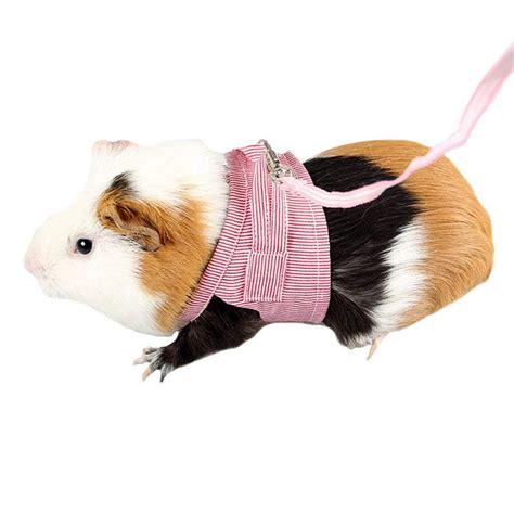Pet Hamster Traction Strap Outdoor Training Soft Cotton Clothes Rope