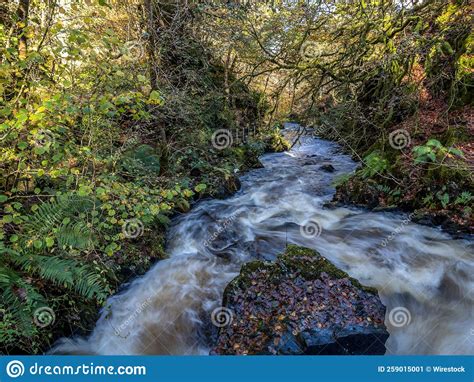 Long Exposure Effect Of Doon River Flowing Through Ness Glen In Autumn