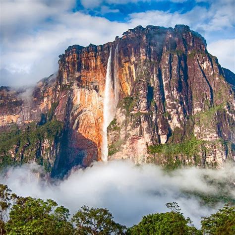 The Lost World River Journey And The Angel Falls Venezuela The