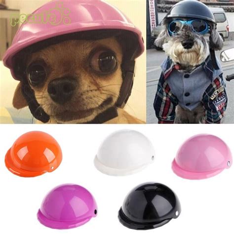 Small Dog Helmet Dog Helmet Pet Toys Dog Toys