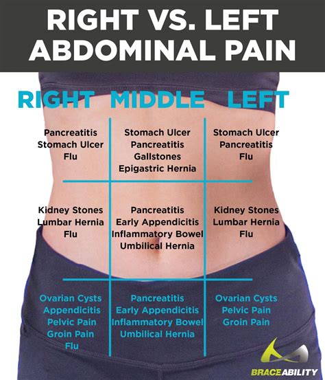 Attacks against foreign substances within the body. There are a number of reasons women would feel pain in their abdomen, use this graphic to help ...
