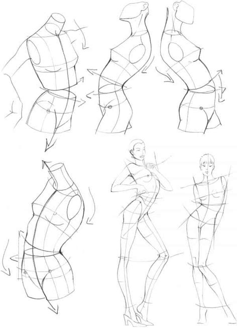 The Upper Body Figure Drawing Martel Fashion