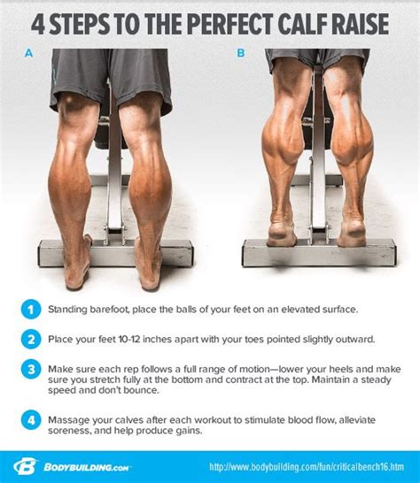 Steps To The Perfect Calf Raise Gym Workout Chart Gym Workout Tips Bodyweight Workout