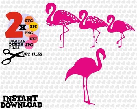 Flamingo Card Svg
