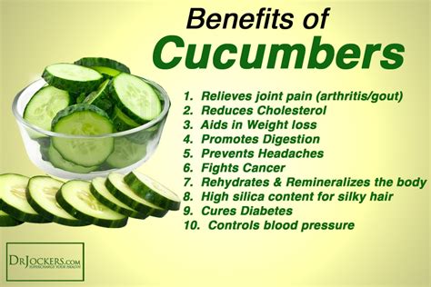 Cucumbers Top 10 Anti Aging Health Benefits Cucumber Health Benefits