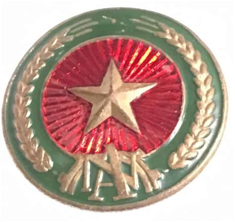 North Vietnamese Army Brass Sun Helmet Badge An Ninh Enemy Militaria