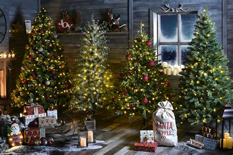 Christmas - Festive Decorations, Trees and Gifts | The Range