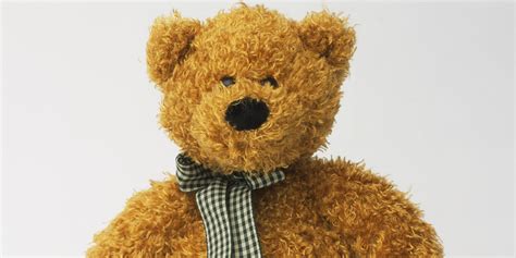 Gps In Teddy Bear Helps Cops Catch Alleged Thief Huffpost