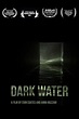 Dark Water (película 2021) - Tráiler. resumen, reparto y dónde ver ...