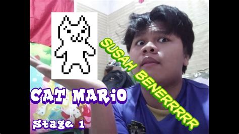 Cat Mario Stage 1 1 Youtube