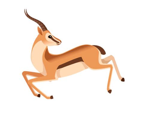 Gazelle Running Illustrations Royalty Free Vector Graphics And Clip Art