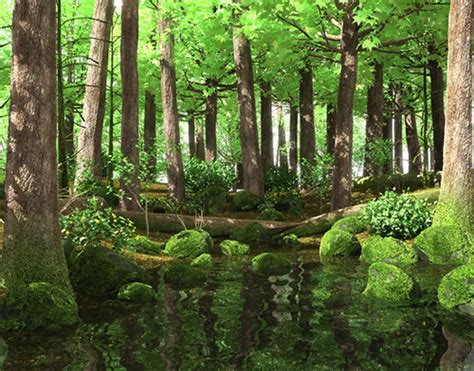 3d Forest 3d Rendering Made Done With 3dsmax Vray And Ph Flickr