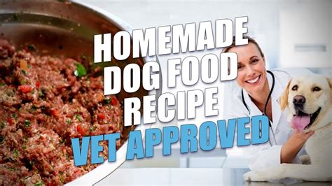 Homemade Dog Food Recipe Vet Approved Limited Ingredient Youtube