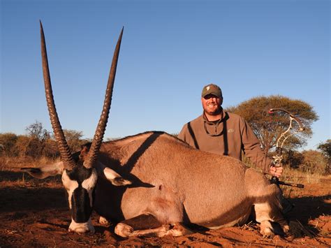 South Africa Bowhunt Plains Game Hunt With Limcroma Safaris