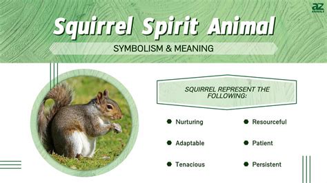 Squirrel Spirit Animal Symbolism And Meaning A Z Animals