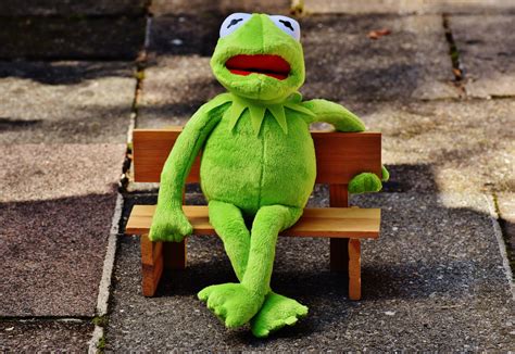 Free Images Green Rest Frog Fig Sit Textile Bank Funny Plush