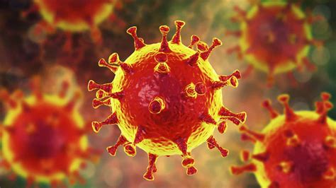 Wallpaper Virus Coronavirus 1920x1200 Hd Picture Image