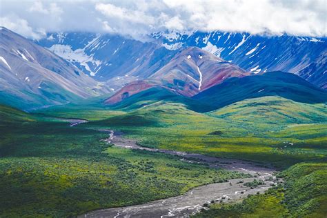 Visit Denali National Park 2023 Complete Guide — Handpicked Alaska