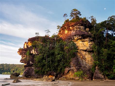 Cliff In Bako National Park On Borneo Malaysia During Sunset Stock