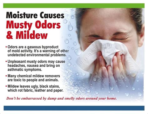 Mold, Mildew & Musty Odors - Coastal Dry Home Mold & Moisture Control