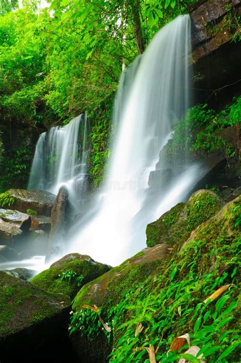 Waterfall In The Jungleloeithailand Stock Photo Image Of Leaf