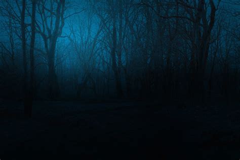 Spooky Foggy Mountain Forest At Night Stock Photo