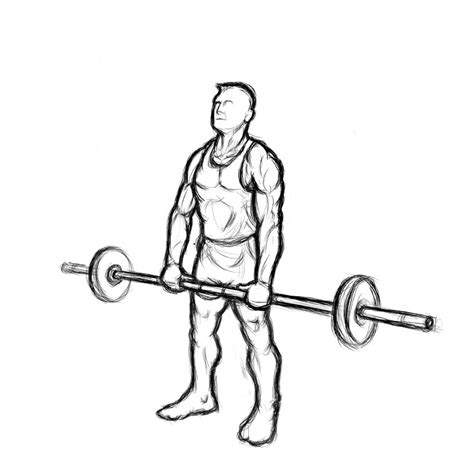 Barbell Upright Row
